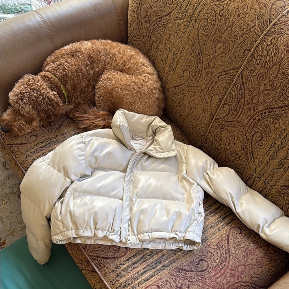 Aritzia Puffer Jacket